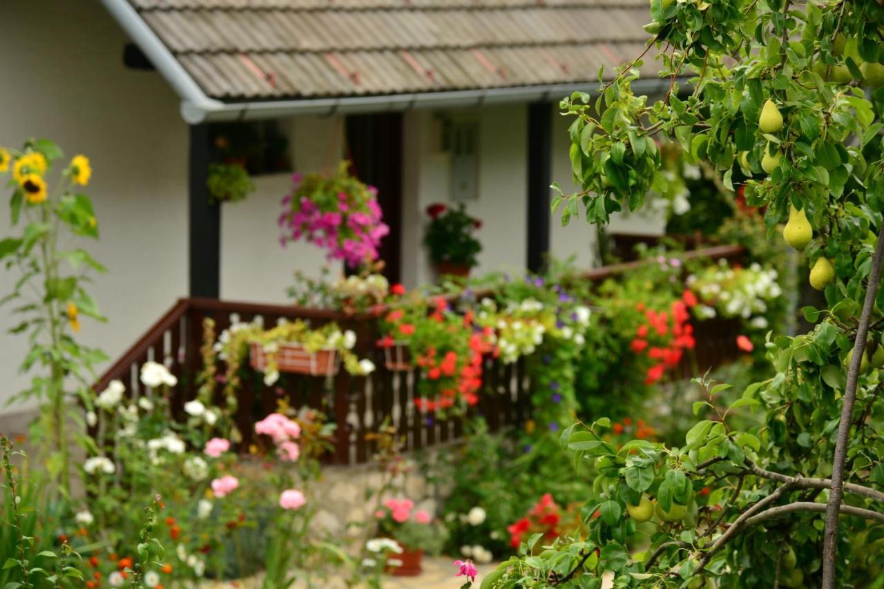 House Nina Daire Poljanak Dış mekan fotoğraf