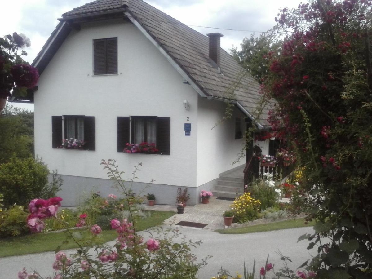 House Nina Daire Poljanak Dış mekan fotoğraf