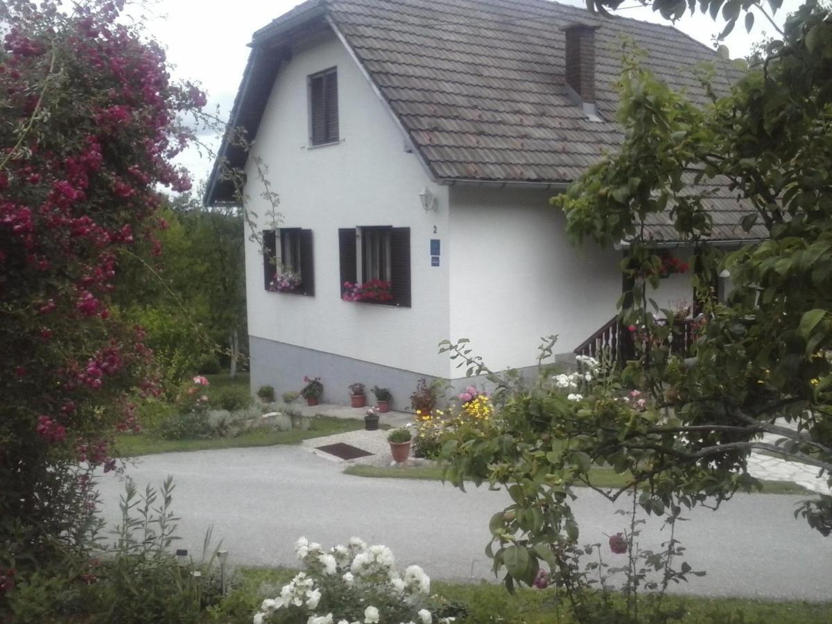 House Nina Daire Poljanak Dış mekan fotoğraf