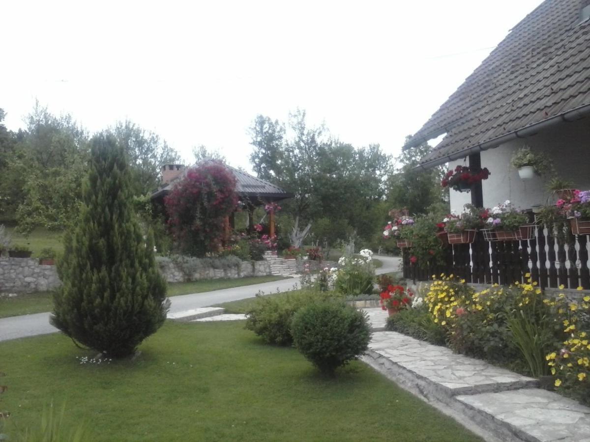 House Nina Daire Poljanak Dış mekan fotoğraf