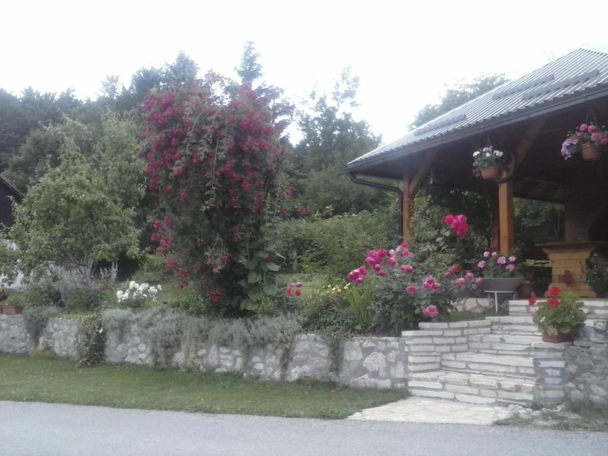 House Nina Daire Poljanak Dış mekan fotoğraf