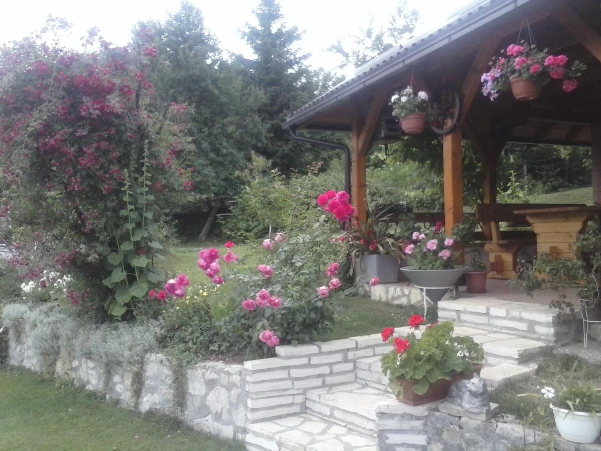House Nina Daire Poljanak Dış mekan fotoğraf